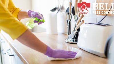 A person wearing gloves cleans a kitchen countertop with a spray bottle and cloth, near the BellPestControl logo.